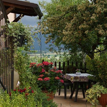 Agriturismo L'Ulivo In Fiore Spoleto Eksteriør billede