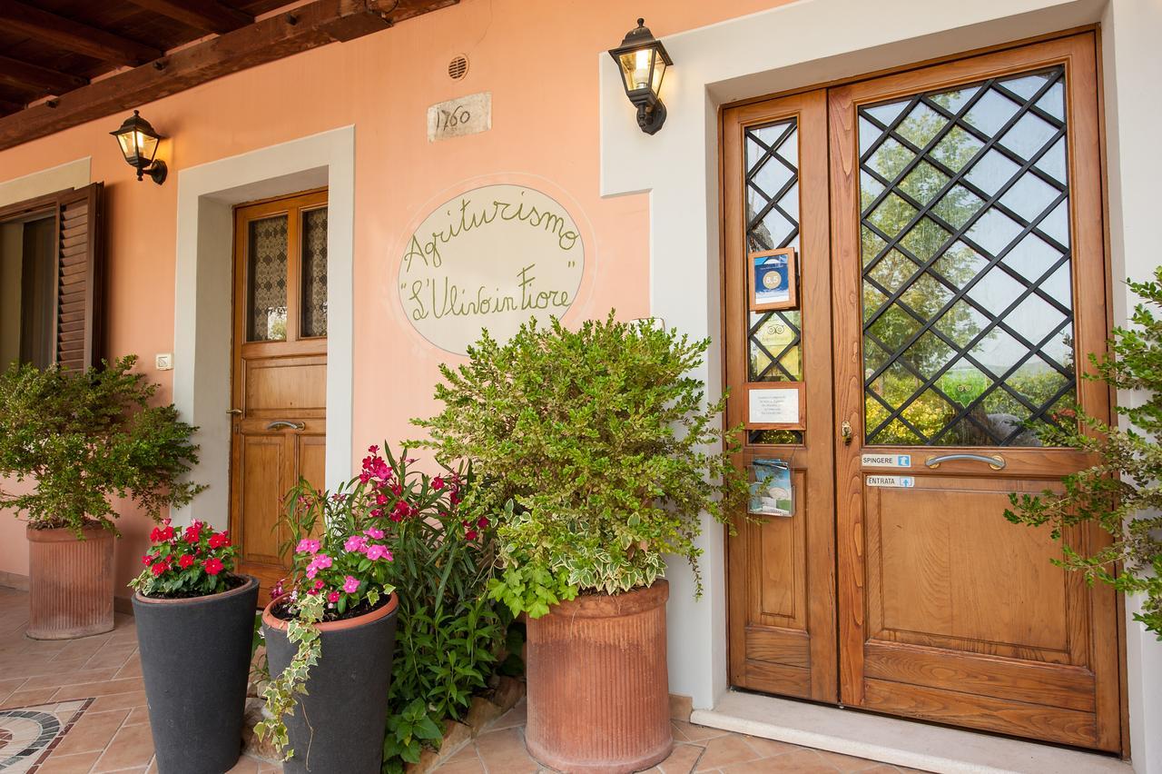 Agriturismo L'Ulivo In Fiore Spoleto Eksteriør billede