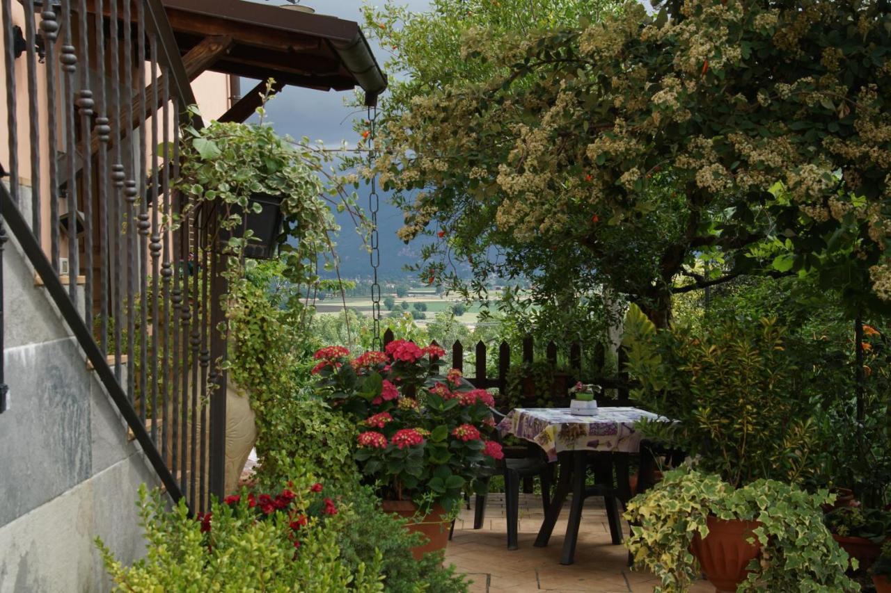 Agriturismo L'Ulivo In Fiore Spoleto Eksteriør billede